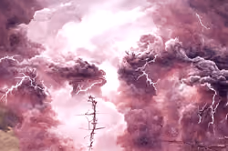 Art Banner #1582