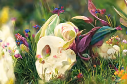Art Banner #7218