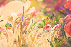 Art Banner #8136