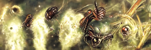 Art Banner #5179