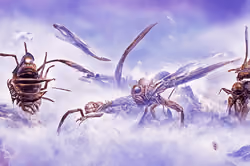 Art Banner #8427