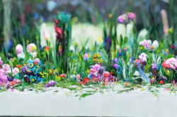 Art Banner #9543