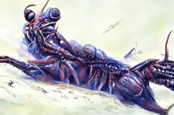Art Banner #6327
