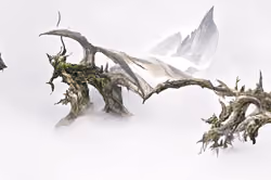 Art Banner #7744