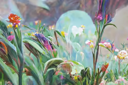 Art Banner #8954