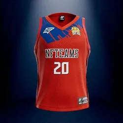 Jersey #01953