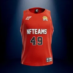 Jersey #03932