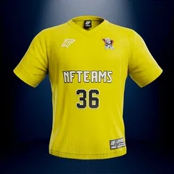 Jersey #05580