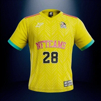 Jersey #02272