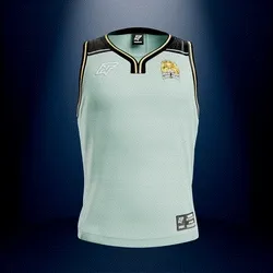 Jersey #05308