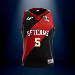 Jersey #01833