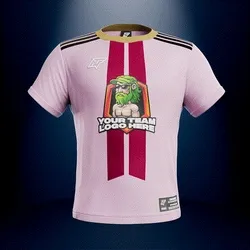 Jersey #02374