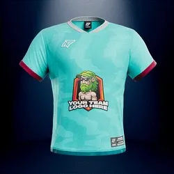 Jersey #03831