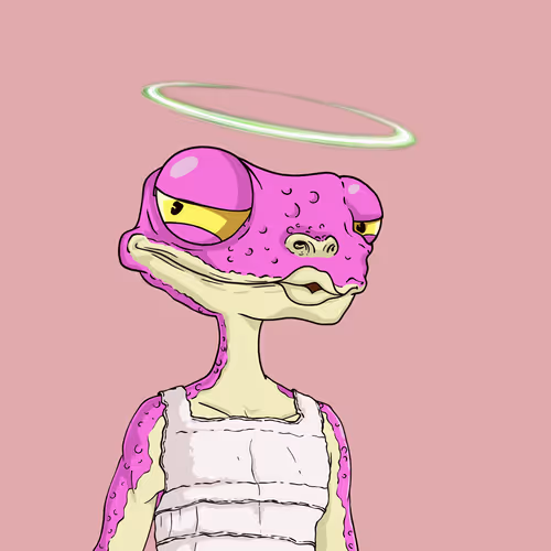 Weirdogeckoclub