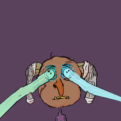 806