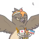 5067