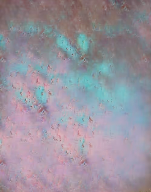 Item #70052021 Media