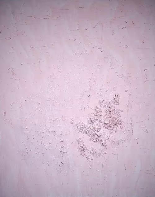 Item #30012018 Media