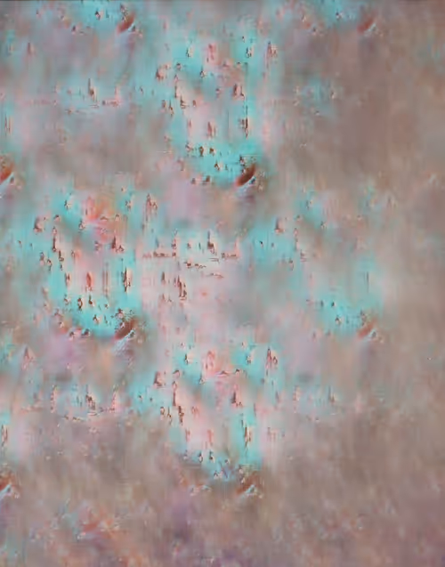 Item #66012021 Media