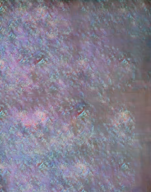 Item #77122021 Media