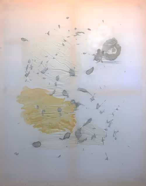 Item #22052017 Media