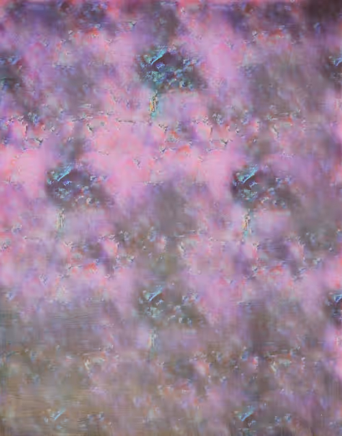 Item #67022021 Media