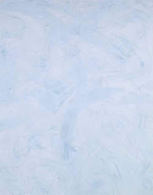 Item #28112017 Media