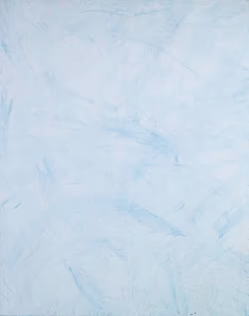 Item #27102017 Media