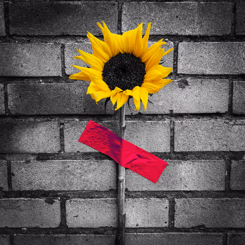 Crypt0Warr10r Street Art