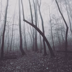 Photo #197