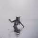 229