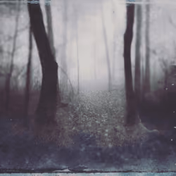 Photo #251