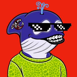 Dolphin #147