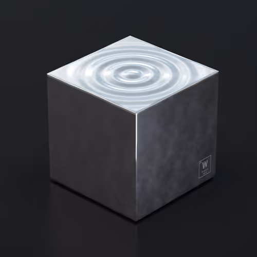 Item #17 Media