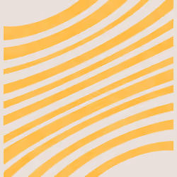 Interference #224