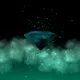 1912
