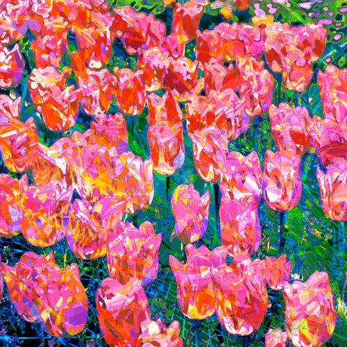 Inlay of light and line