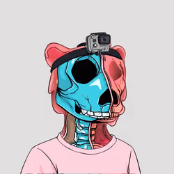 Zombie Okay Bear #1537