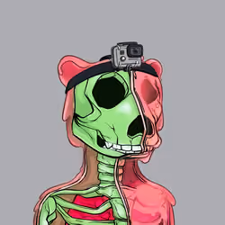 Zombie Okay Bear #1472