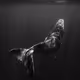 The Dark Below