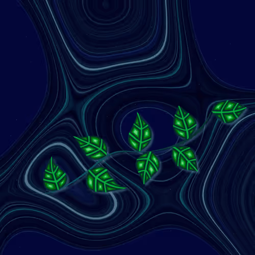 Starry Oddities