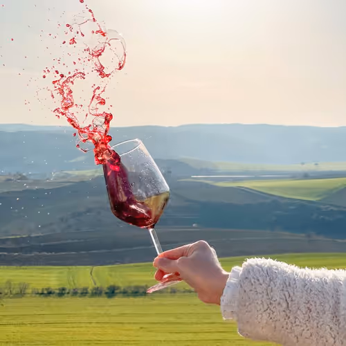 Wine - t2SW8p3528