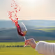Wine - t2SW8p3528