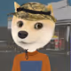 651