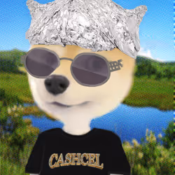 50
