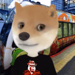 619