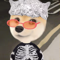 164