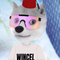 797