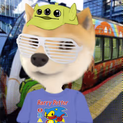 655