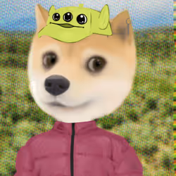 779